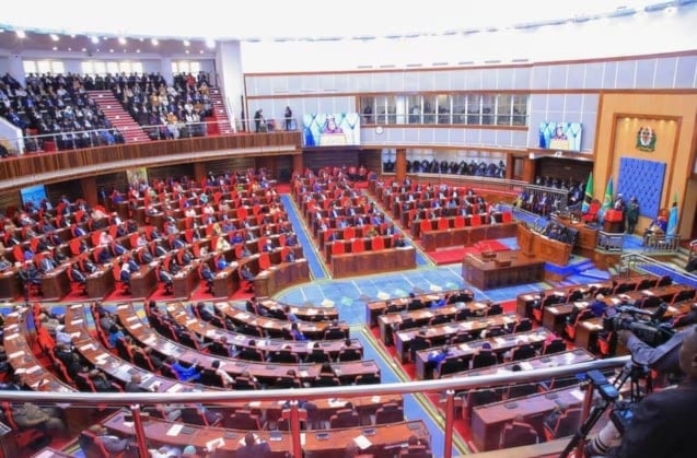 رئيسة تنزانيا سامية سولوهو حسن تلقي كلمة أمام البرلمان في العاصمة دودوما (رويترز)