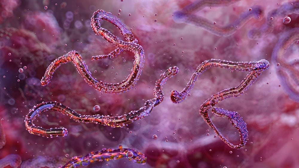 فيروس ماربورغ