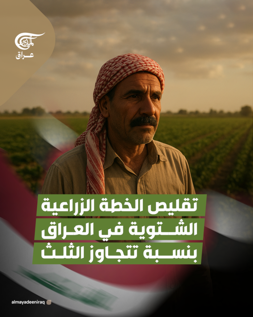 تقليص الخطة الزراعية الشتوية في العراق بنسبة تتجاوز الثلث