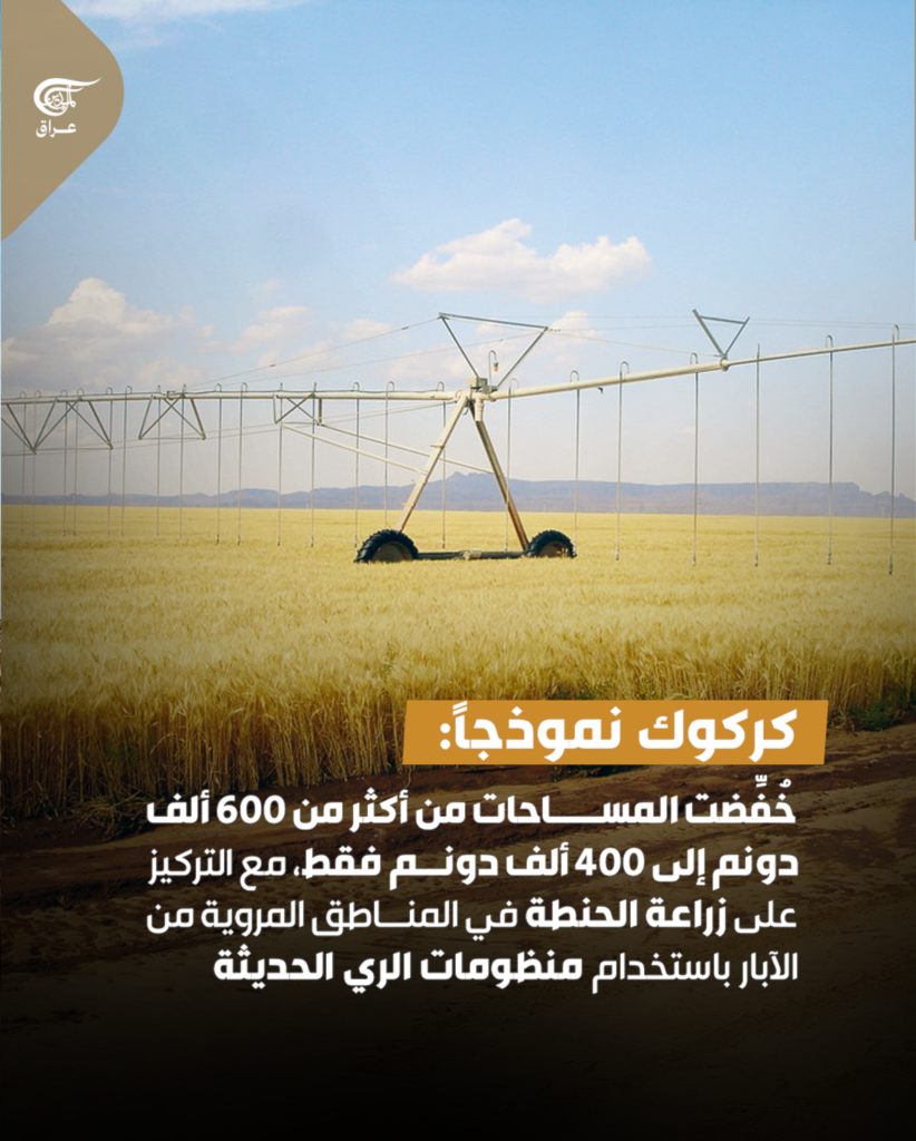 تقليص الخطة الزراعية الشتوية في العراق بنسبة تتجاوز الثلث