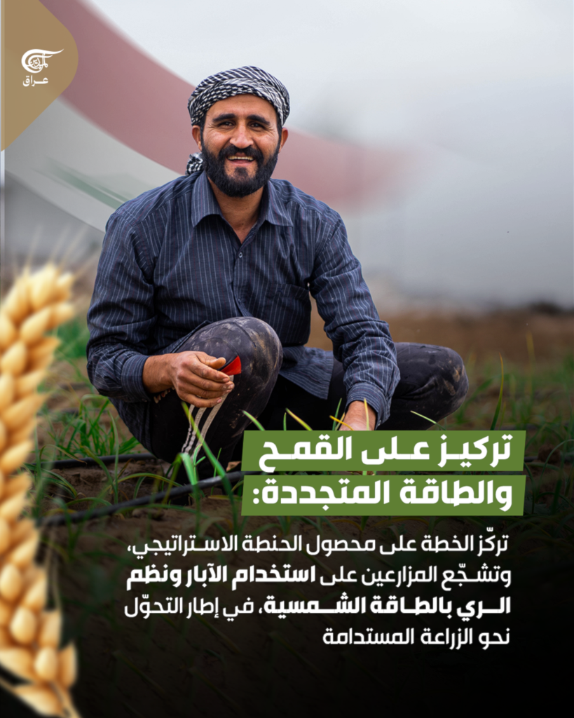 تقليص الخطة الزراعية الشتوية في العراق بنسبة تتجاوز الثلث