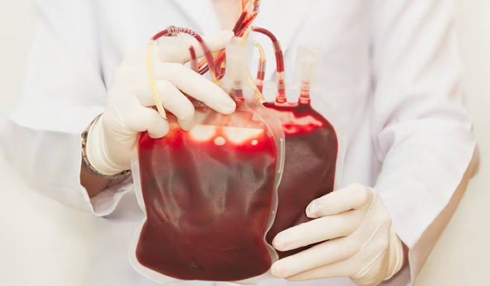 ماذا نعرف عن فصيلة 