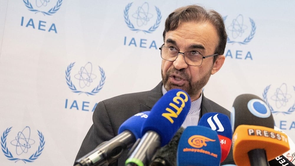 مندوب إيران لدى الوكالة الدولية للطاقة الذرية رضا نجفي-أرشيف (أ ف ب)