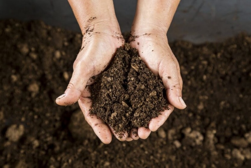 ابتكار طريقة سريعة وصديقة للبيئة لاستصلاح الأراضي الملوثة