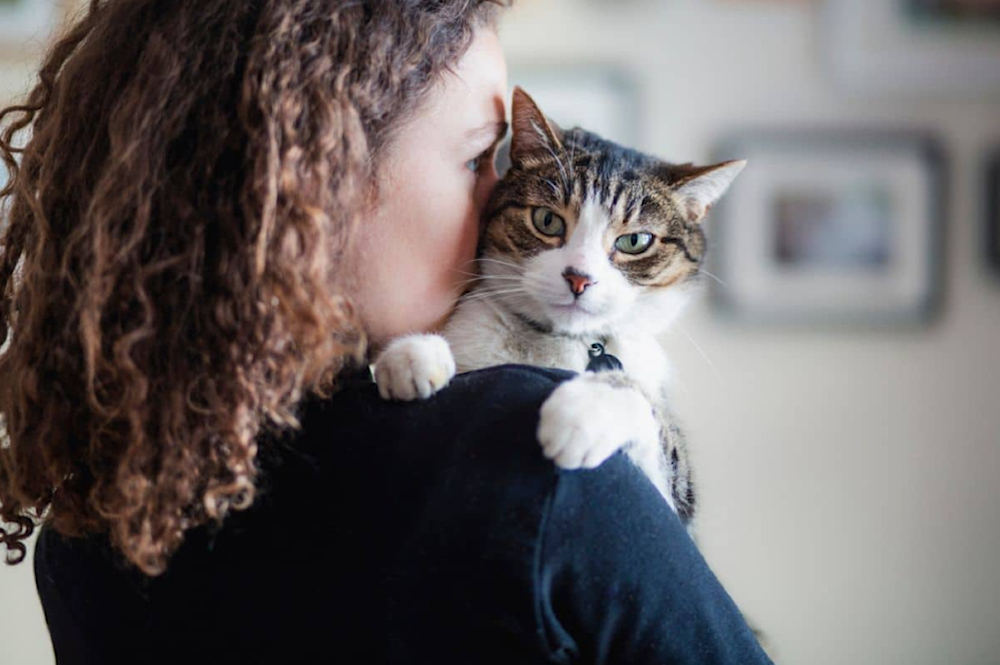 دراسة: الأشخاص الذين تعرضوا لعضّات القطط سجلوا درجات أعلى بكثير في اختبارات 