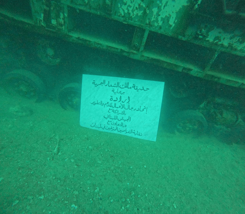 اللوحة في حديقة بحرية قبالة شاطىء بيروت 