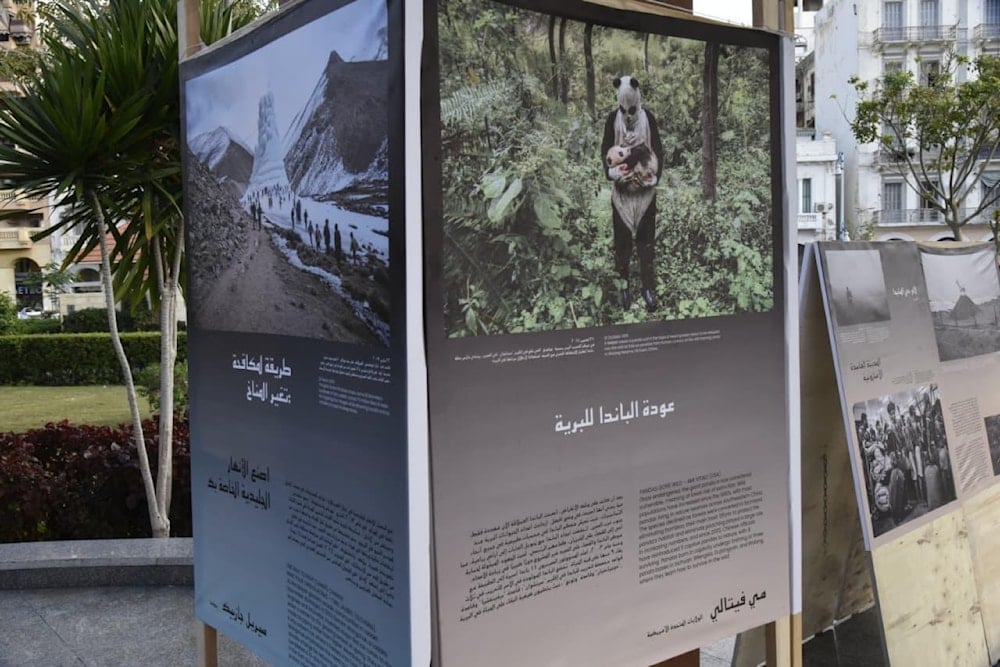 لقطات مناخية من معرض بور سعيد