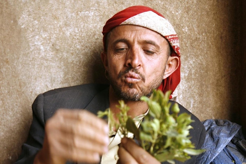 كل القرارات بمنع القات لم يكتب لها الاستمرار سوى فترة وجيزة ثم توقفت