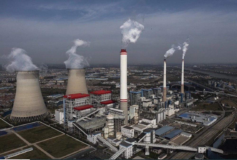 تواجه مشاريع إزالة الكربون المعتمدة على الطبيعة خطراً بسبب ضعف قدرتها على امتصاص الكربون