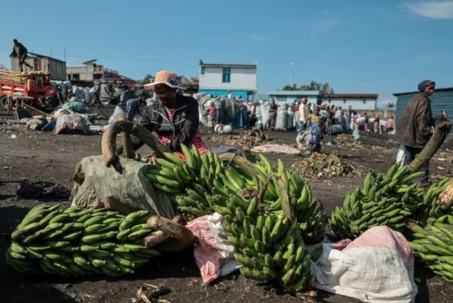 امرأة تبيع الموز في سوق كيتوكو على ضفاف بحيرة كيفو في غوما بجمهورية الكونغو الديمقراطية (رويترز)
