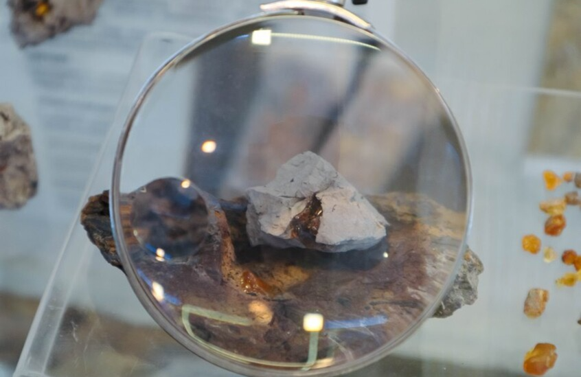 العثور على كهرمان عمره أكثر من 100 مليون سنة