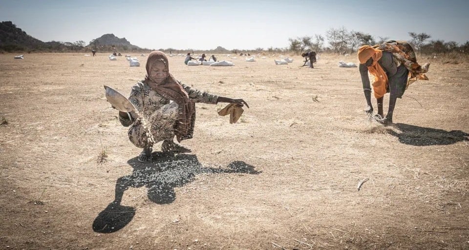 نساء سودانيات يغربلن الرمال بحثاً عن بقايا الحبوب