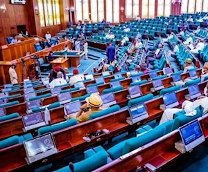 جلسة للبرلمان في نيجيريا جلسة للبرلمان في نيجيريا