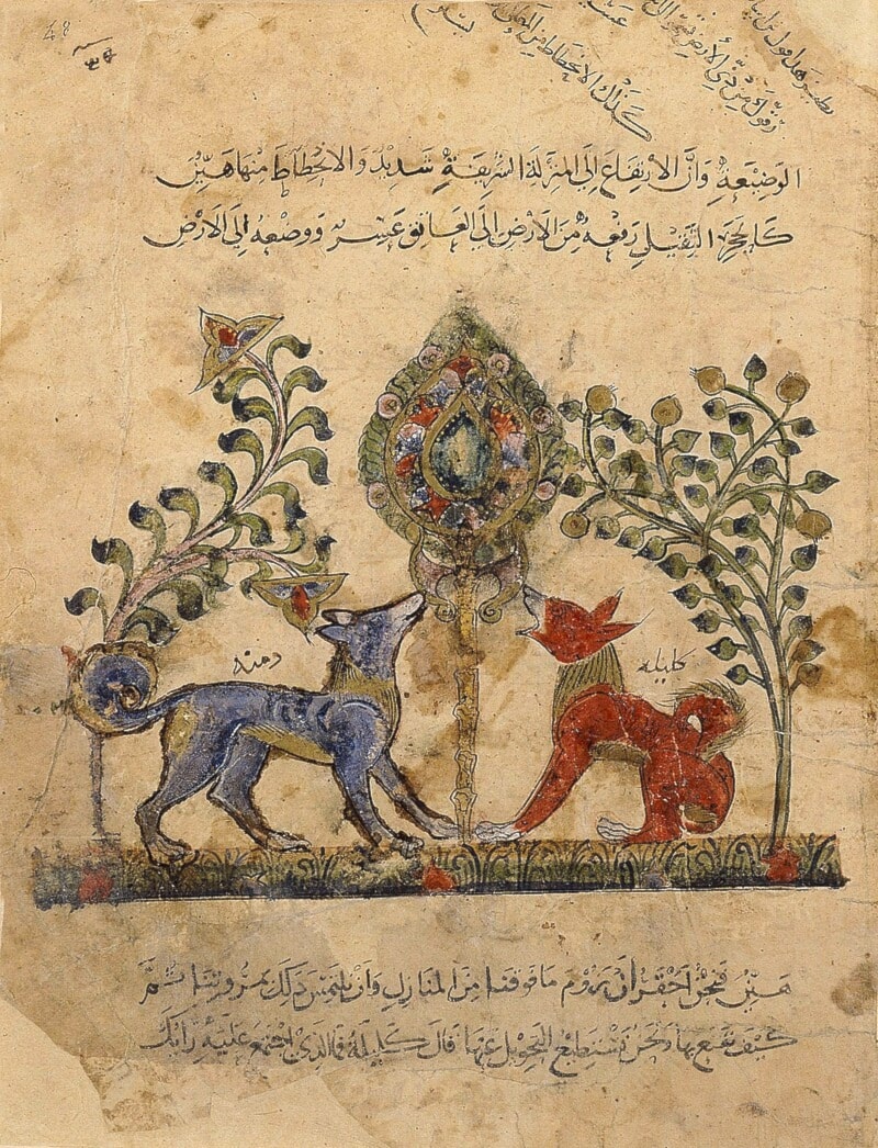 ابنا آوى من كتاب 