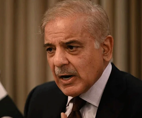 رئيس الوزراء الباكستاني شهباز شريف (أرشيف) رئيس الوزراء الباكستاني شهباز شريف (أرشيف)