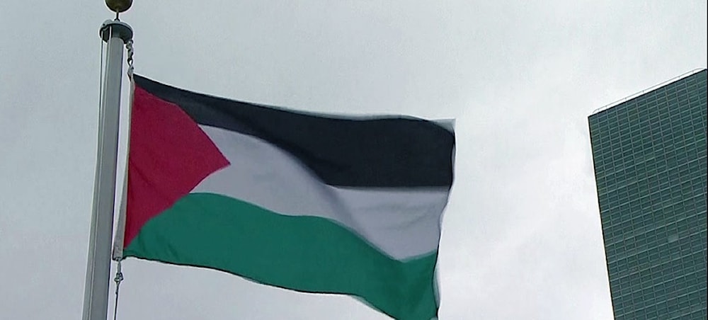 قرار رفع العلم الفلسطيني في مقر منظمة الصحة العالمية يأتي وسط تصاعد الدعم الدولي للقضية الفلسطينية