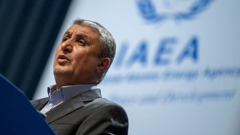 رئيس منظمة الطاقة الذرية الإيرانية محمد إسلامي (صورة أرشيفية)