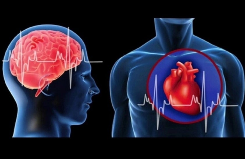 مشكلة قصور القلب لا تقتصر على الجسم فقط بل قد تمتد أيضاً إلى الدماغ والذاكرة