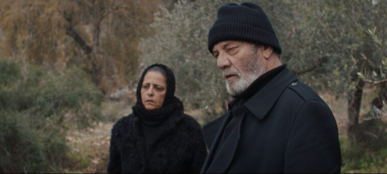 الفيلم الفلسطيني 