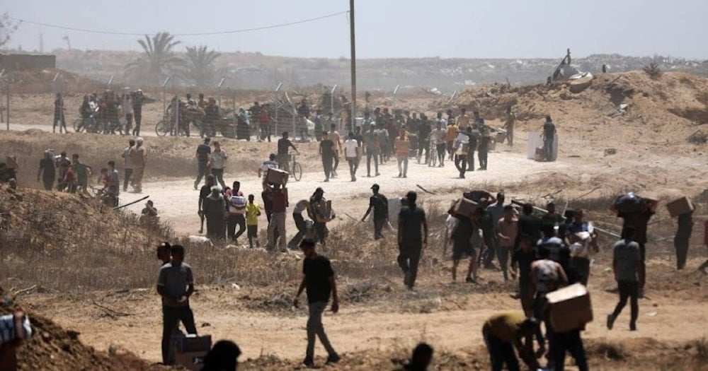 أكثر من 230 بين شهيد وجريح في مجزرة مركز المساعدات برفح، أثناء محاولتهم الحصول على الطعام لأسرهم 1 حزيران/يونيو (أ ف ب)