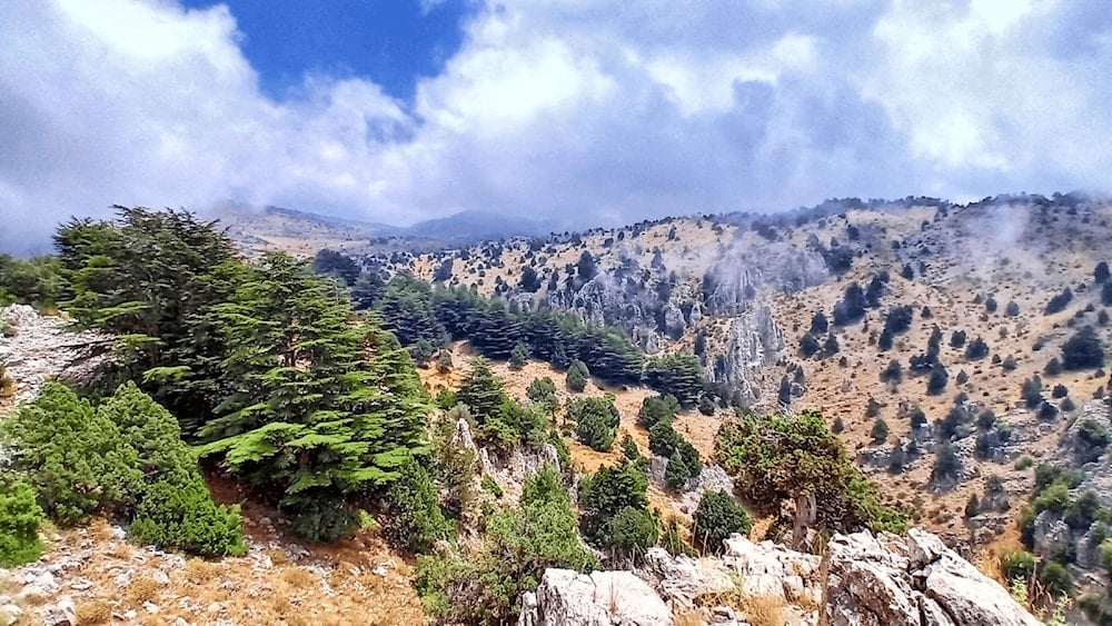 الجبال تعانق الغيم