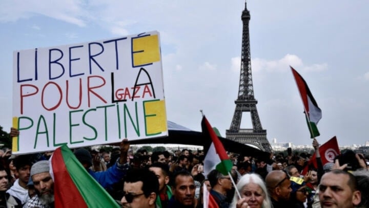 تظاهرة دعماً لفلسطين في فرنسا