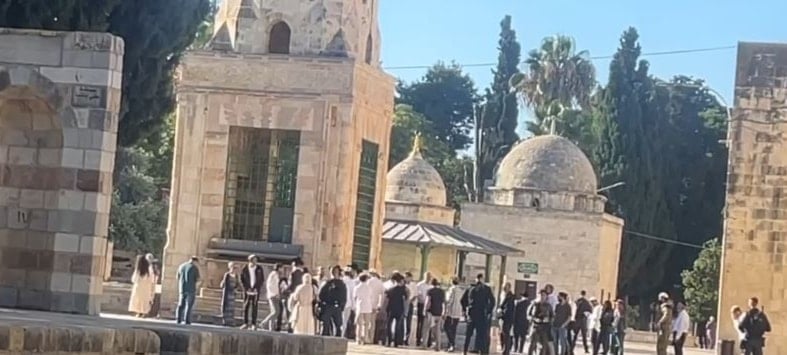 مستوطنون إسرائيليون يقتحمون باحات المسجد الأقصى المبارك في مدينة القدس المحتلة صباح اليوم (تواصل اجتماعي)