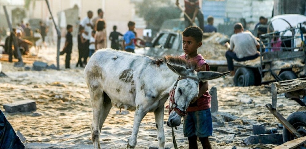 قطاع غزة (أ ف ب)