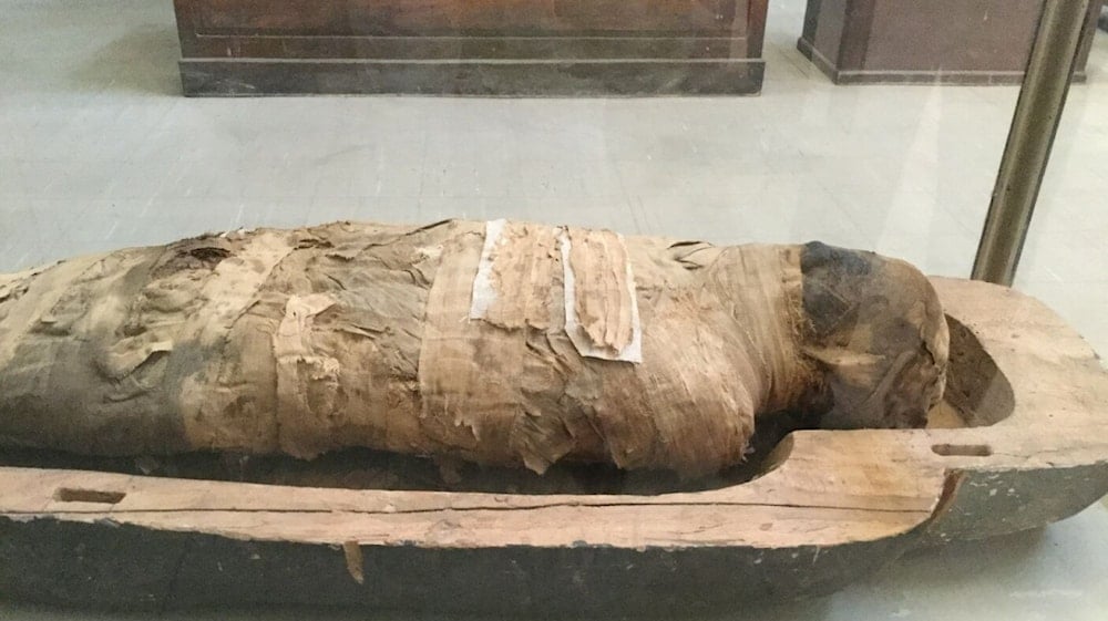النقوش واللقى المكتشفة تشكل مصدراً علمياً غنياً لدراسة التقاليد الجنائزية والرمزية الدينية في الفترات المتأخرة من تاريخ مصر القديمة