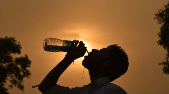 أطعمة مفيدة خلال موجات الحر