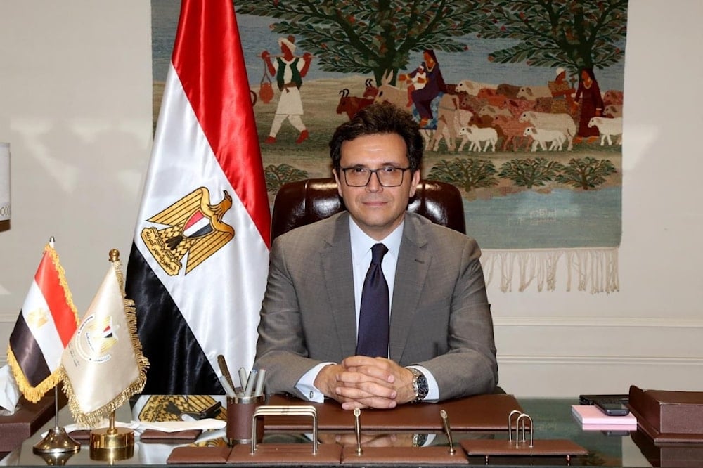 وزير الثقافة المصري أحمد فؤاد هنو
