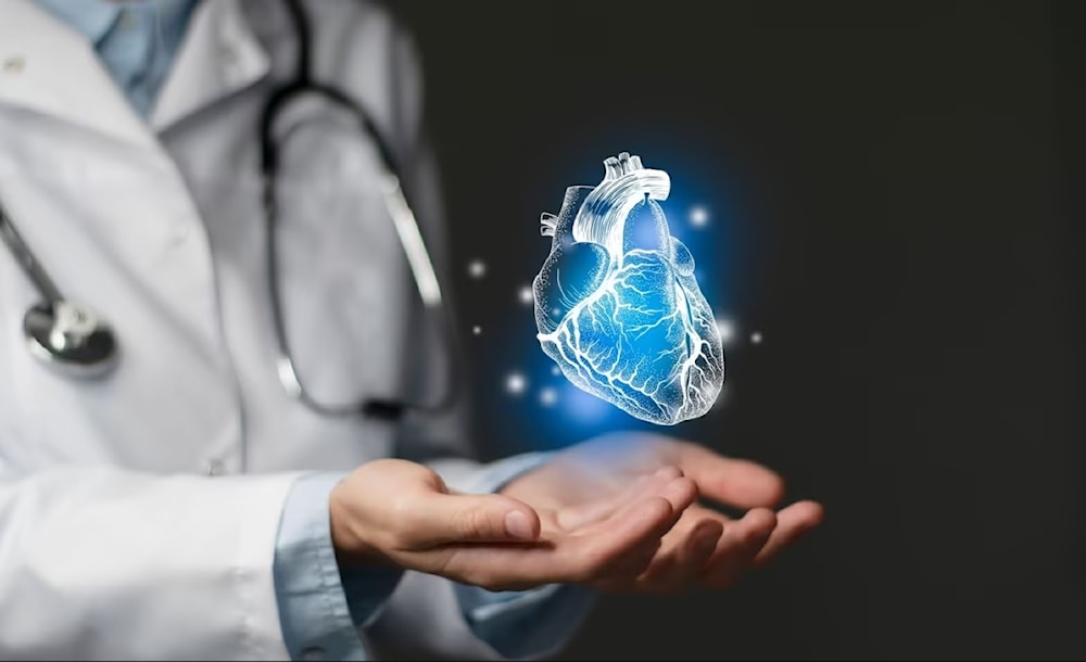 الدهون الحشوية تسرّع شيخوخة القلب