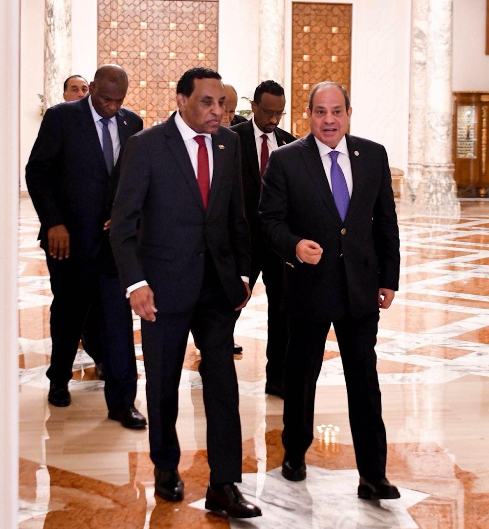 الرئيس المصري عبد الفتاح السيسي ورئيس الوزراء السوداني كامل إدريس في القاهرة