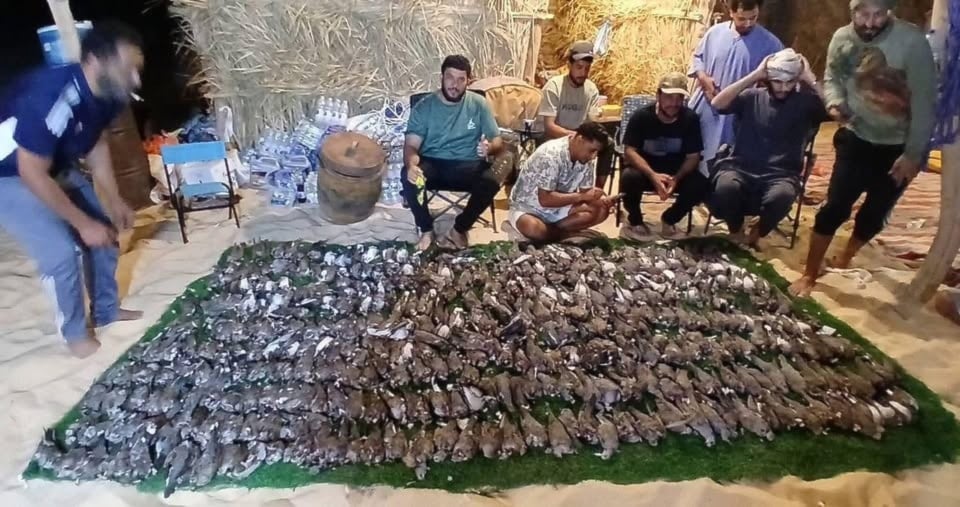 الجمعية الليبية لحماية الحياة البرية تدين واقعة الصيد الجائر