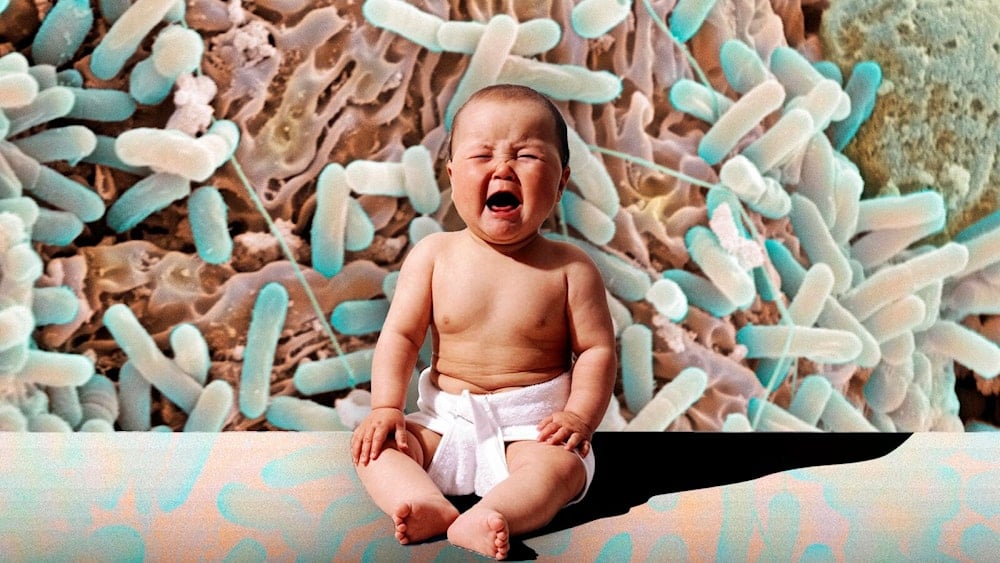Photo illustration by Sarah Rogers/The Daily Beas