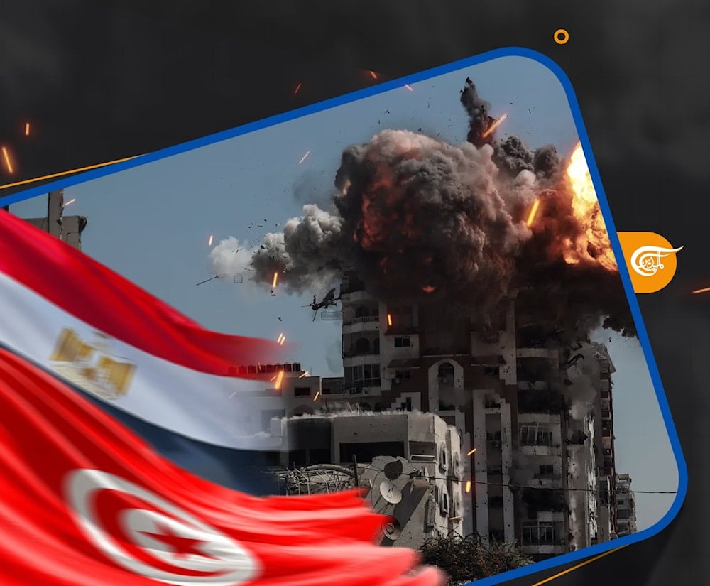 مصر بين الحفاظ على السلام ‏ومنع التهجير.