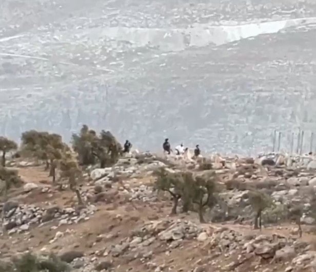 مستوطنون يعتدون على بلدة المغير في رام الله في الضفة الغربية (مواقع تواصل اجتماعي)
