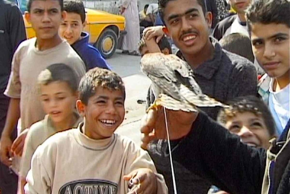 يشارك فيلم 