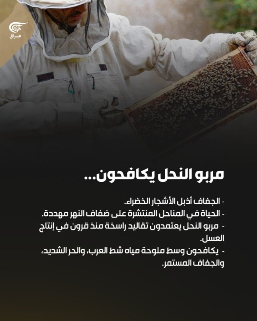 في أحضان شط العرب، تكافح مناحل البصرة للبقاء رغم الجفاف والملوحة