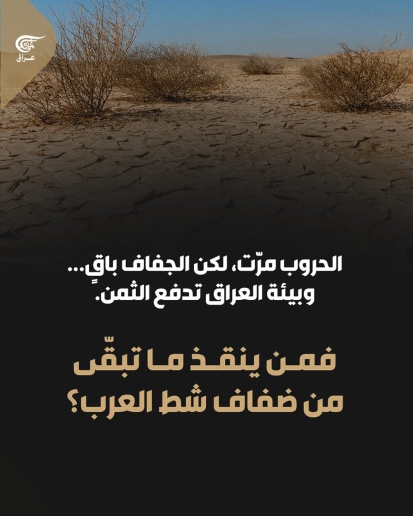 في أحضان شط العرب، تكافح مناحل البصرة للبقاء رغم الجفاف والملوحة
