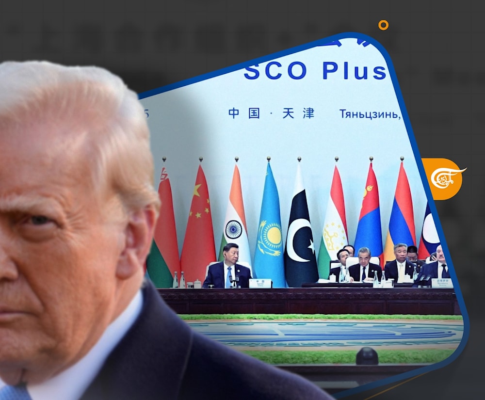 يبدو أن فكرة