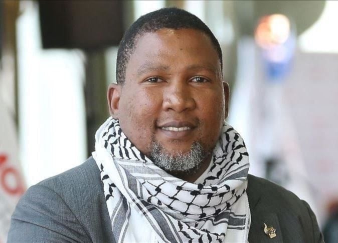 حفيد المناضل الجنوب أفريقي، نيلسون مانديلا، ماندلا مانديلا